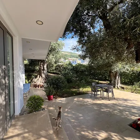 Appartement Adriatichaven *