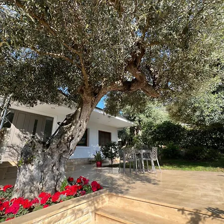 Appartement Adriatichaven Vlorë